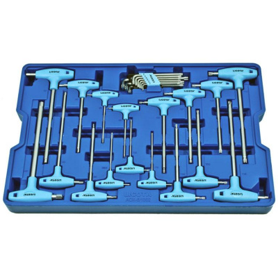 купить LICOTA ACK-B1002 Набор ключей Т-образных шестигранных и торкс, с пластиковой рукояткой, 26пр., в ложементе