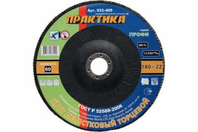 купить ПРАКТИКА 032-409 Круг лепестковый шлифовальный ПРАКТИКА 180 х 22 мм Р60 (1шт.) серия Профи