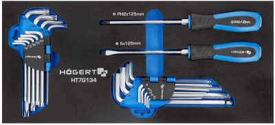 купить  HT7G134 HOEGERT Набор отверток, ключи HEX и TORX 20 шт., ложемент EVA