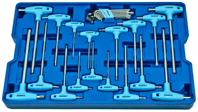 купить LICOTA ACK-B1002 Набор ключей Т-образных шестигранных и торкс, с пластиковой рукояткой, 26пр., в ложементе