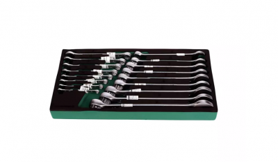 купить GARWIN PRO 646070 Набор ключей комбинированных 17 пр. 6-24 мм в ложементе EVA