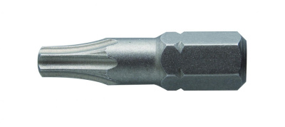 купить  HT1S361 HOEGERT Биты TORX 10, 25 мм, сталь S2, 2 шт.
