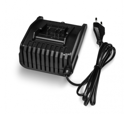 runtec-pro-rt-lbch20-zaryadnoe-ustrojstvo-dlya-20v-batarej-2a (2)