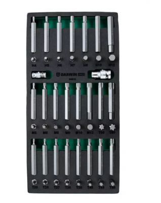 купить GARWIN PRO 646010 Набор бит 10 мм, Torx, Spline, Hex, 48 пр. в ложементе EVA